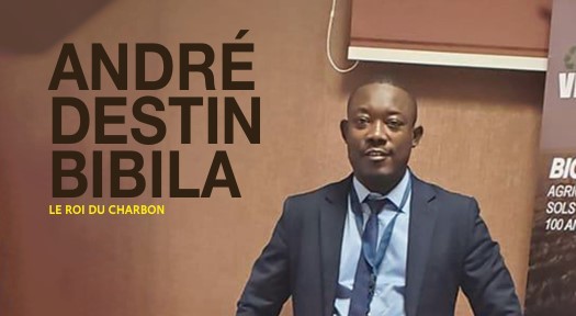 ANDRÉ DESTIN BIBILA